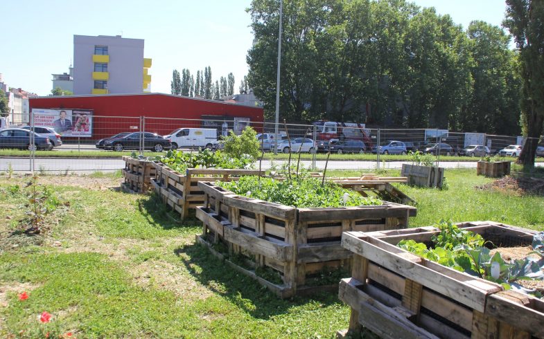 Urban Farming