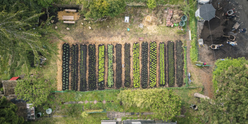 Urban Farming im großen Stil