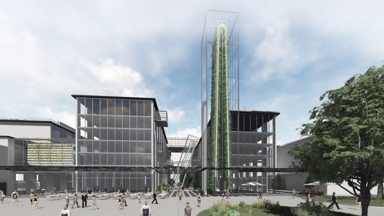 In Linz und Innsbruck sind die Planungen für Urban Farming schon fertig.
