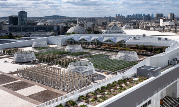 Urban Farming in Paris