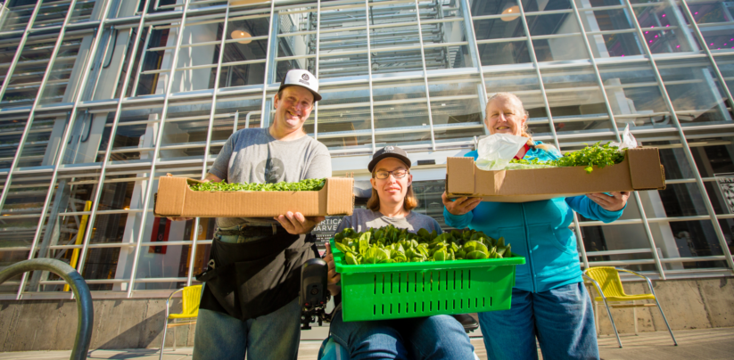 Urban Farming in großem Stil in Verbindung mit bezahlbaren Wohnungen