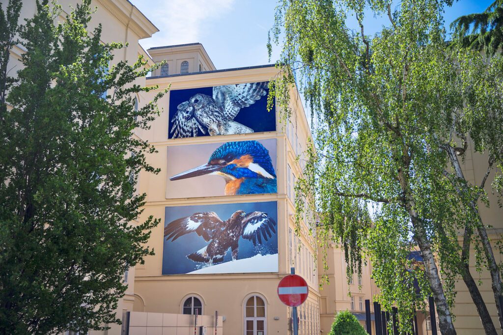 Festival La Gacilly-Baden Photo 2022