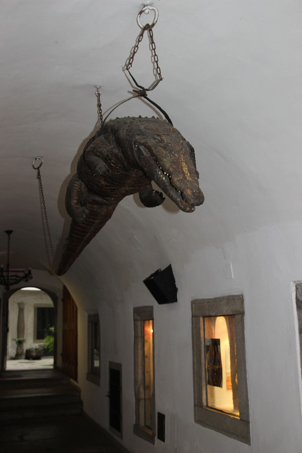 Gehen in der Stadt: Krokodil in Freistadt (c) Antonia Schulz