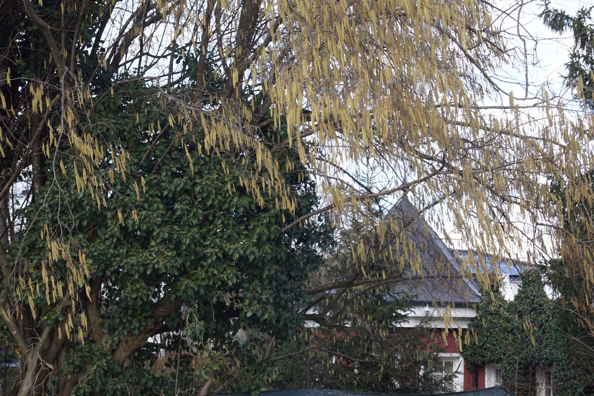 Natur in der Stadt