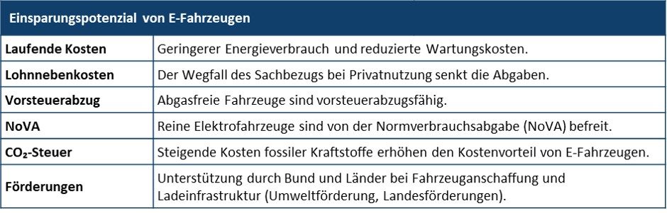 Einsparungspotenzial E-Auto