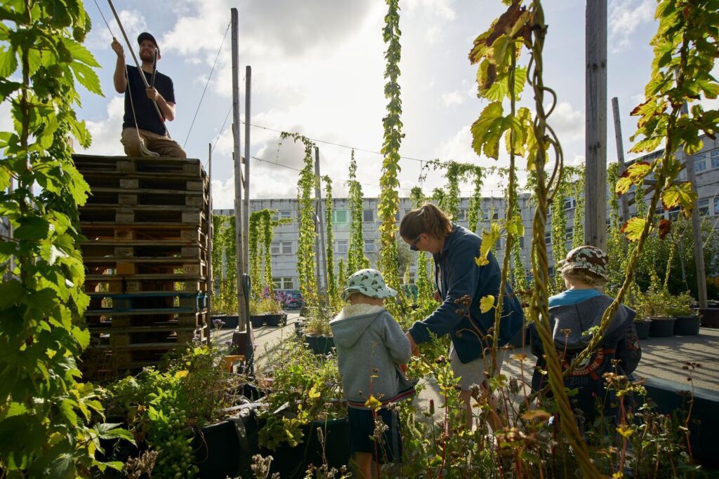 Zwischen Beton und Bohnenranken: Urban Gardening schafft nicht nur grüne Oasen, sondern zeigt, wie Zukunft mitten in der Stadt gedeihen kann