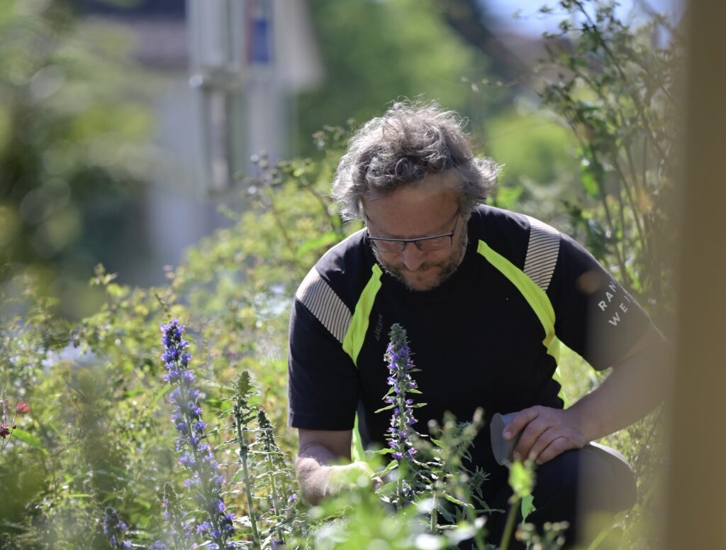 MOSAIK Rankweil naturnahe begrünung 2025 © bernd oswald (48) 2