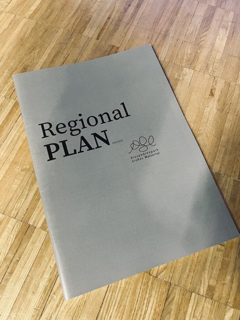 Walsertal Regionalplan