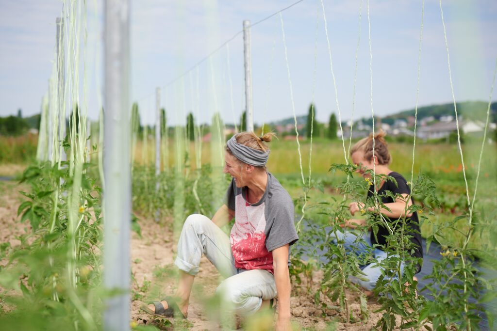Das leise Fundament Solawi(c)Flohner Fotografie (80)